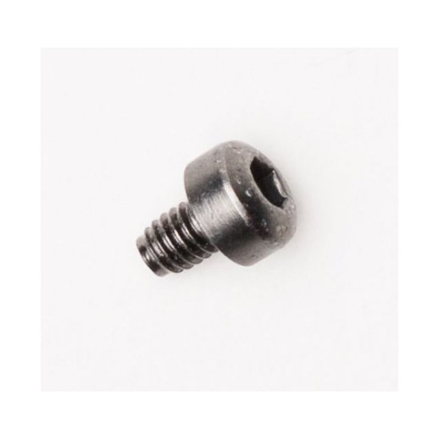 BUCKLE SCREWS [Silver]
